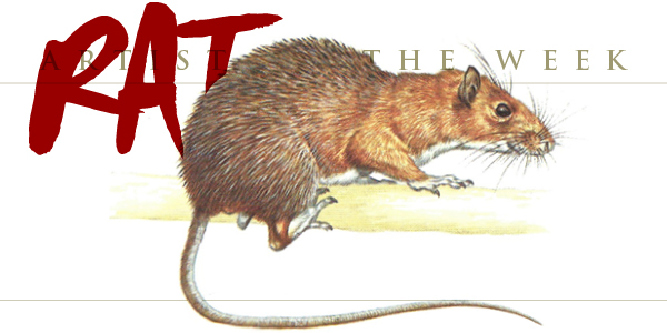 Armored Rat