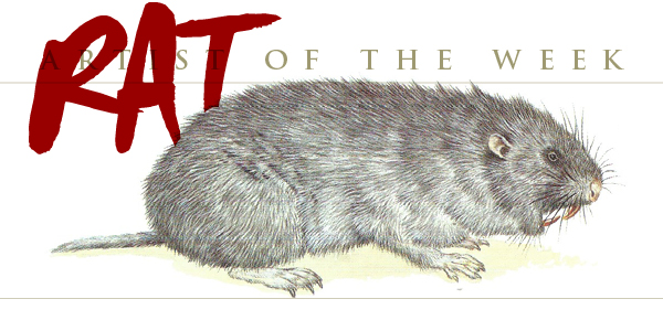 Giant Mole-Rat