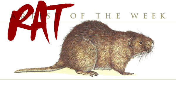 Cane Rat
